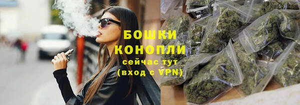 винт Ладушкин