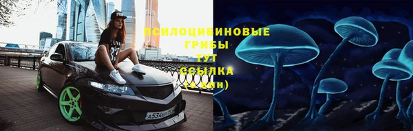 гашик Лагань