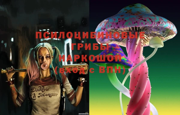 гашик Лагань