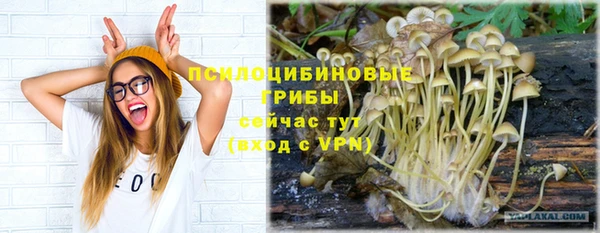 СК Нефтегорск