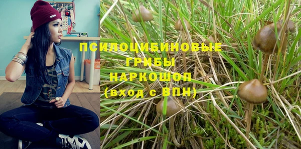 гашик Лагань