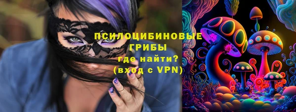 винт Ладушкин