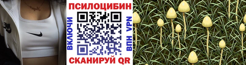 Галлюциногенные грибы MAGIC MUSHROOMS Печора
