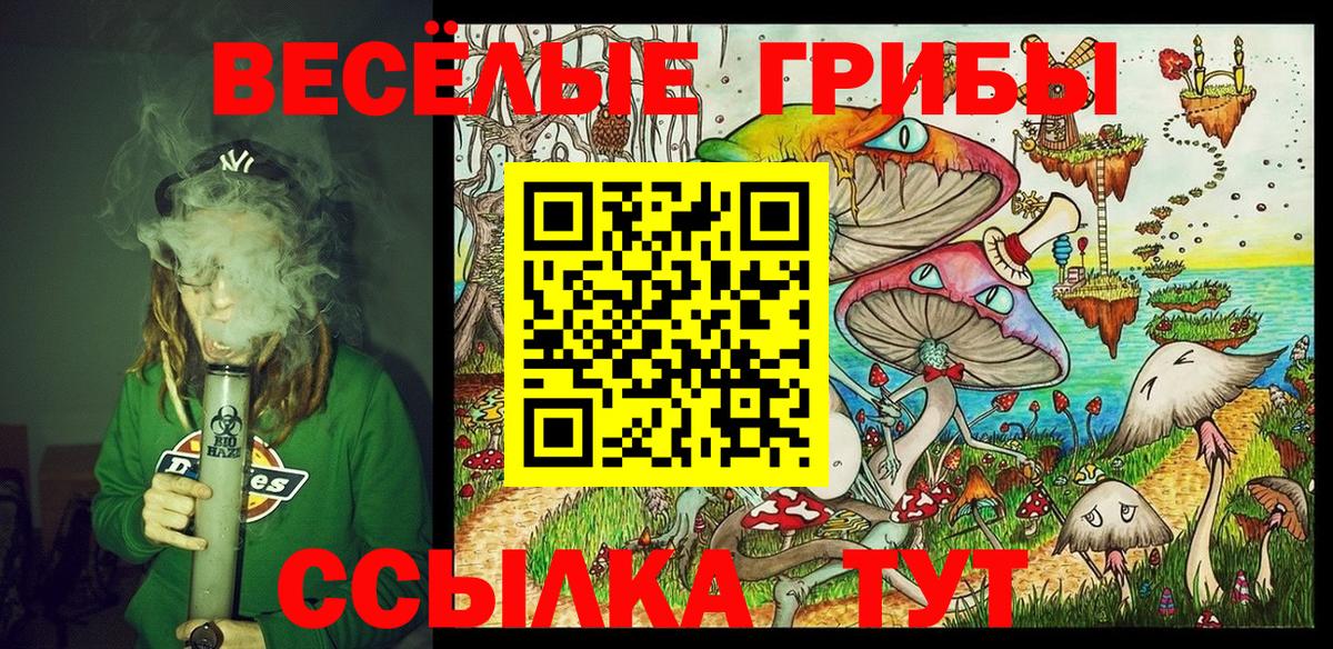 Галлюциногенные грибы Psilocybine cubensis Печора