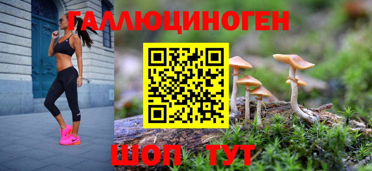 Галлюциногенные грибы мицелий  Псилоцибиновые грибы MAGIC MUSHROOMS  Печора  Вход с VPN 