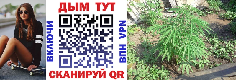 как найти закладки Печора Марихуана ГИДРОПОН